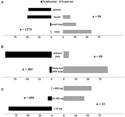 Spitting Seeds From the Cud: A Review of an Endozoochory Exclusive to Ruminants